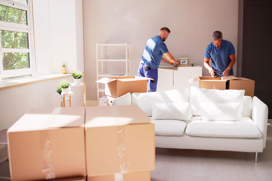 Professional movers loading cardboard boxes in a well-lit home environment
